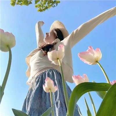 图书馆员第二季